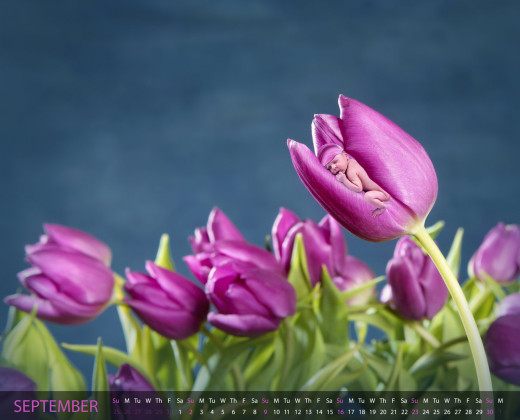 658640 (a): :1600x1292